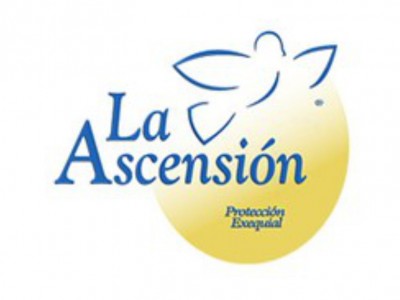 LA ASCENSIÓN
