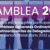 Delegados elegidos para participar en las Asambleas Generales Ordinarias y Extraordinarias de Delegados para el periodo estatutario 2022 y 2023
