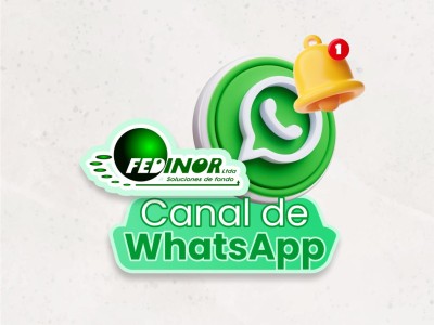 Canal de WhatsApp FEDINOR LTDA
