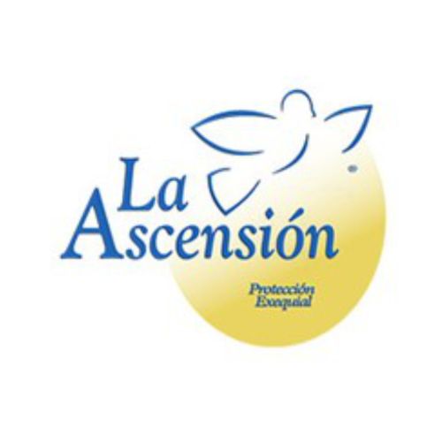 LA ASCENSIÓN