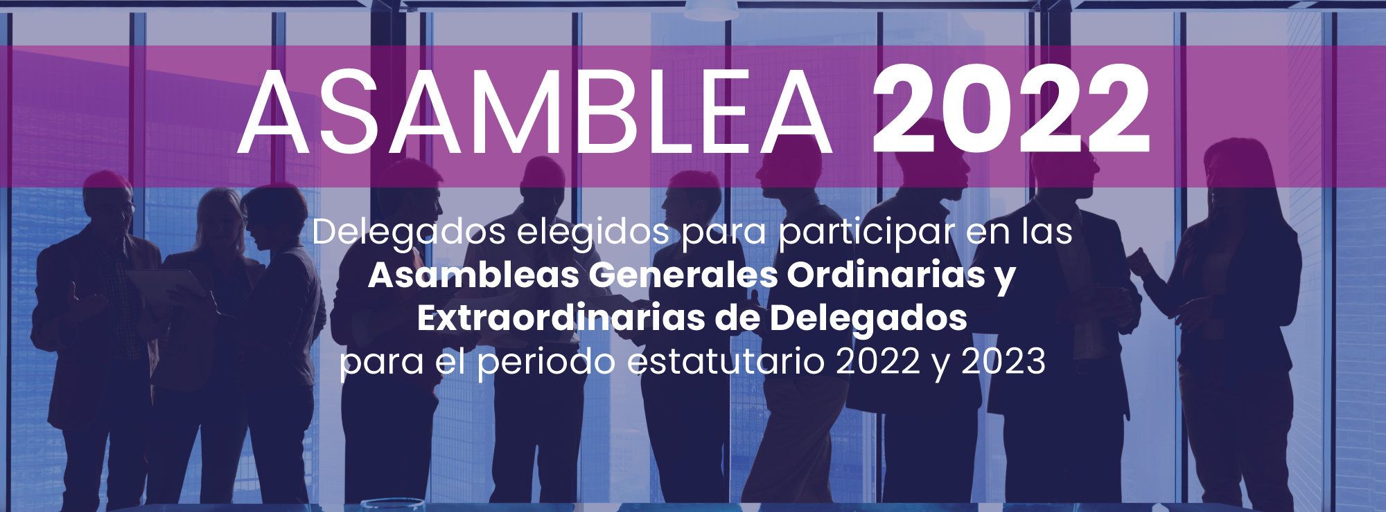 Delegados elegidos para participar en las Asambleas Generales Ordinarias y Extraordinarias de Delegados para el periodo estatutario 2022 y 2023